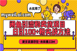 闲鱼引流和卖货项目：日引100+粉实战方法-万源库