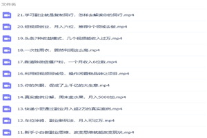 张磊21堂副业培训课：让小白学会副业赚钱，通俗易懂简单易上手-万源库