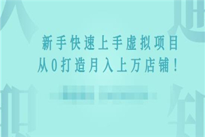 2022年虚拟项目实战指南，新手从0打造月入上万店铺-万源库