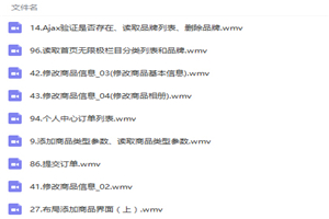 图片[1]-大型商城开发视频教程全程实录-万源库