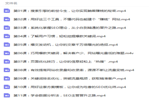 零基础学SEO引爆流量躺赚 SEO视频教程-万源库