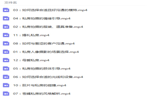 苍蝇和他的私房摄影摆姿课视频教程-万源库