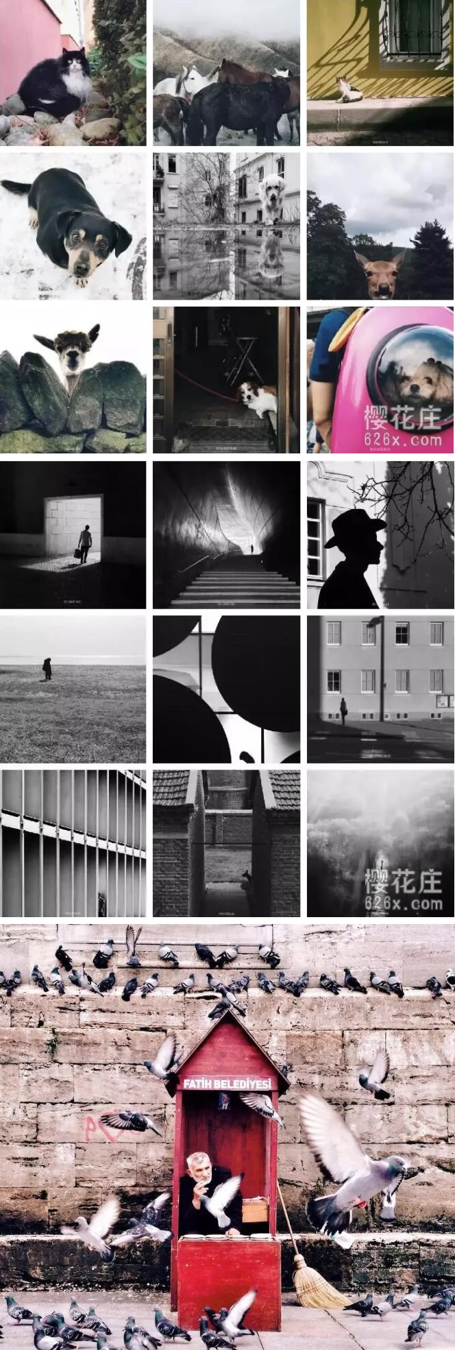 韩松手机摄影系列课程 零基础学手机摄影(30节课)-万源库