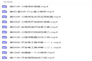 微信小程序开发零基础入门到精通项目实战视频教程-万源库