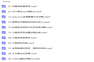 图片[1]-微信小程序开发视频教程-万源库