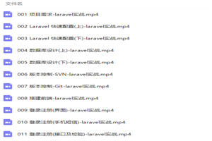 Laravel实战项目开发网上商城全程实录视频教程-万源库