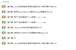 Netty/Springboot打造高性能微信聊天应用项目实战视频教程-万源库