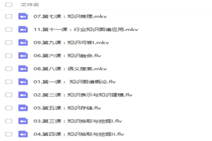 人工智能知识图谱从基础理论到项目案例实战视频教程-万源库