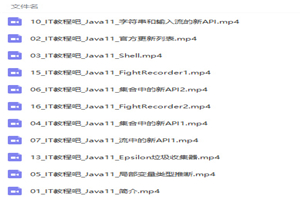 最新Java11新特性完整视频教程-万源库