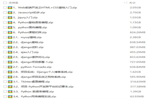 Python开发基础实战进阶视频进阶-万源库