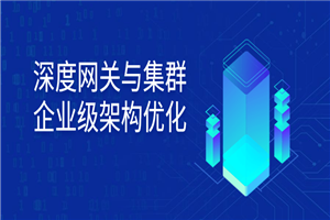 深度网关与集群企业级架构优化-万源库