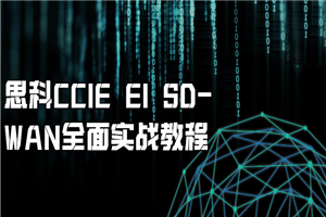 思科CCIE EI SD-WAN全面实战教程-万源库