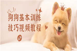 狗狗基本训练技巧视频教程-万源库