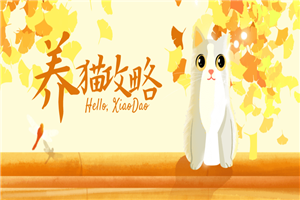 猫咪训练+养猫攻略大全-万源库