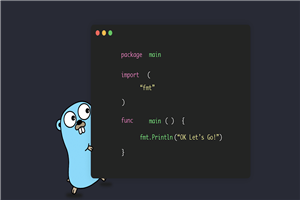 谷歌GO语言编程基础教程-万源库