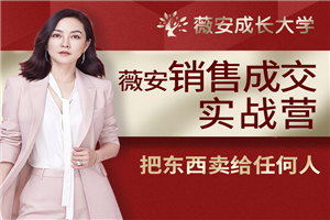 薇安28天销售高手训练营-万源库