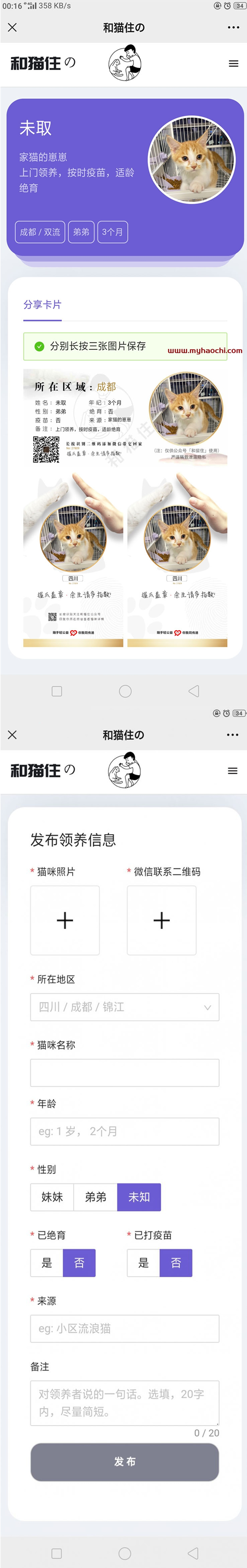 流浪猫流浪狗发布H5源码下载 带演示-万源库