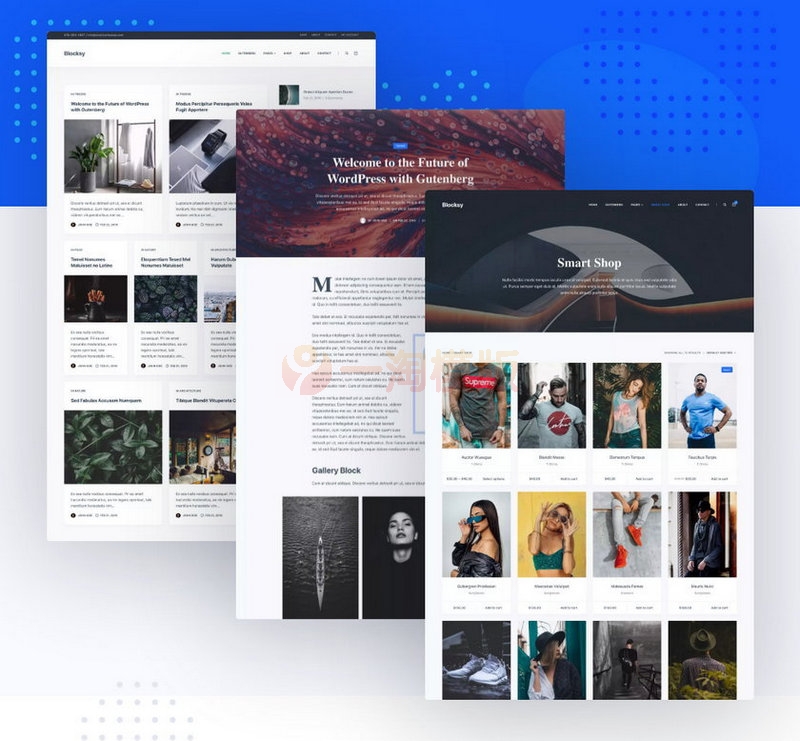 外面企业模板Blocksy主题模板V1.8.3.4开源版-万源库